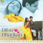 Dil Aur Dhadhan - Rashid Mustafa Song Download